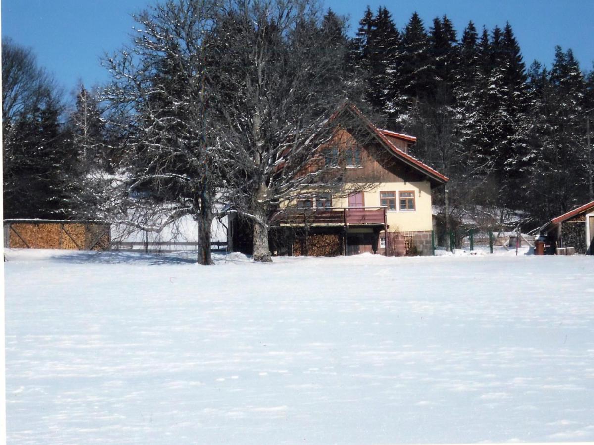Landhaus Graf Kniebis Exterior photo